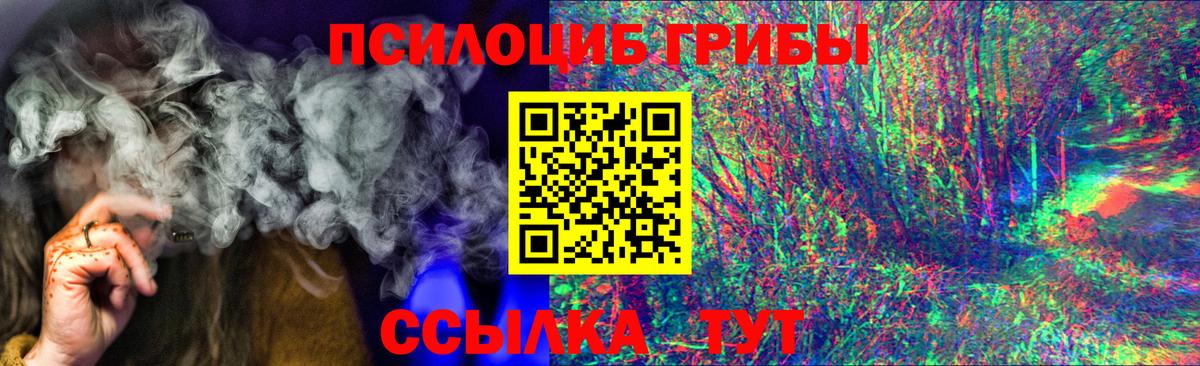 Вышний Волочёк  Галлюциногенные грибы Magic Shrooms  Вход с VPN 