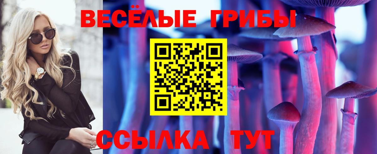 Псилоцибиновые грибы мухоморы Вышний Волочёк