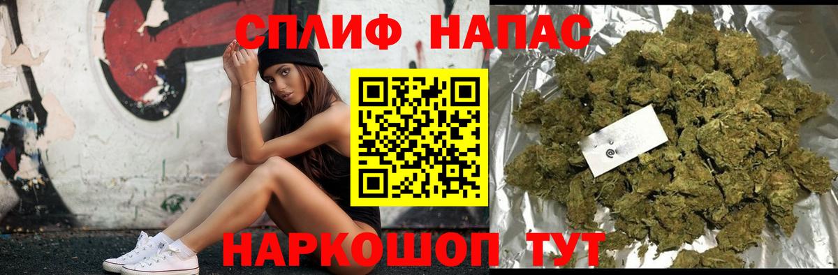 Канабис сатива Вышний Волочёк